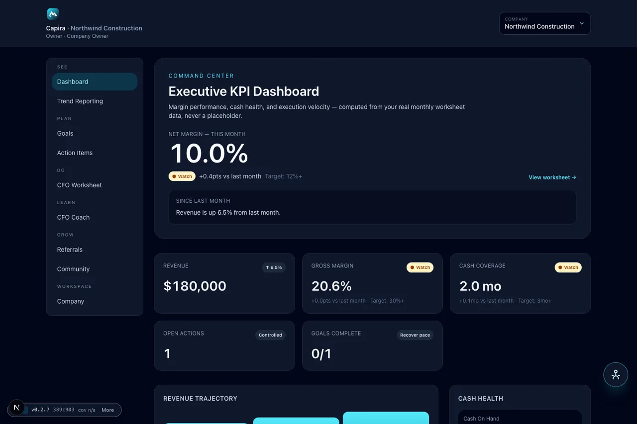 Executive dashboard with KPI snapshots for a demo company.